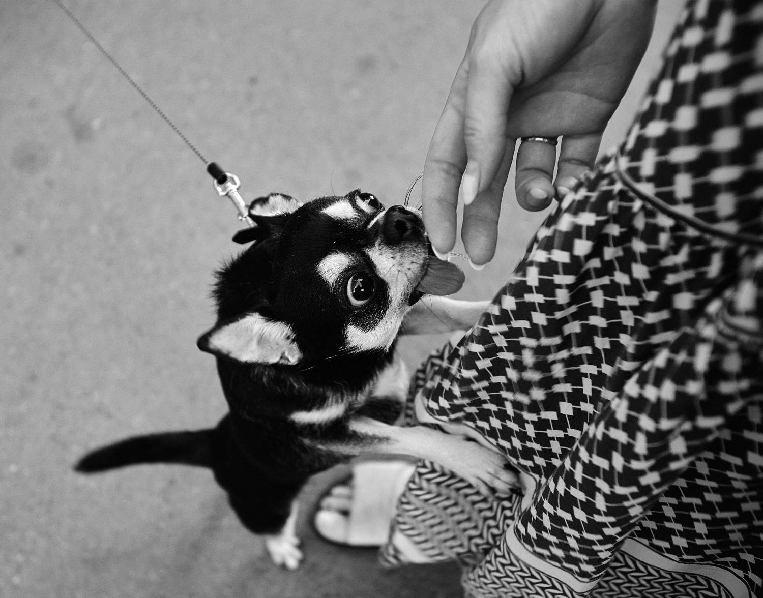 , Наталья Новикова