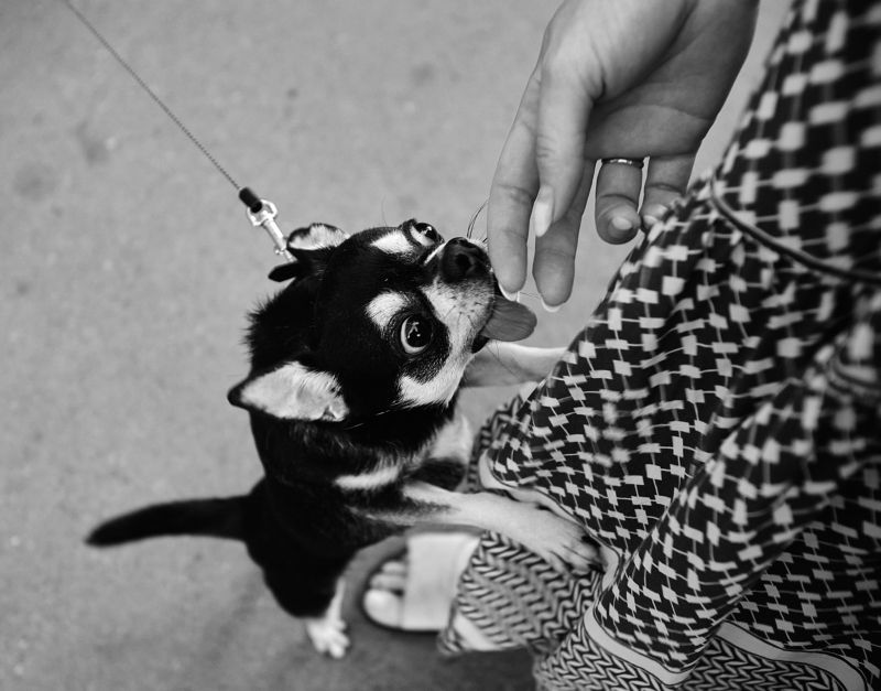 Я твои руки целую... фото превью