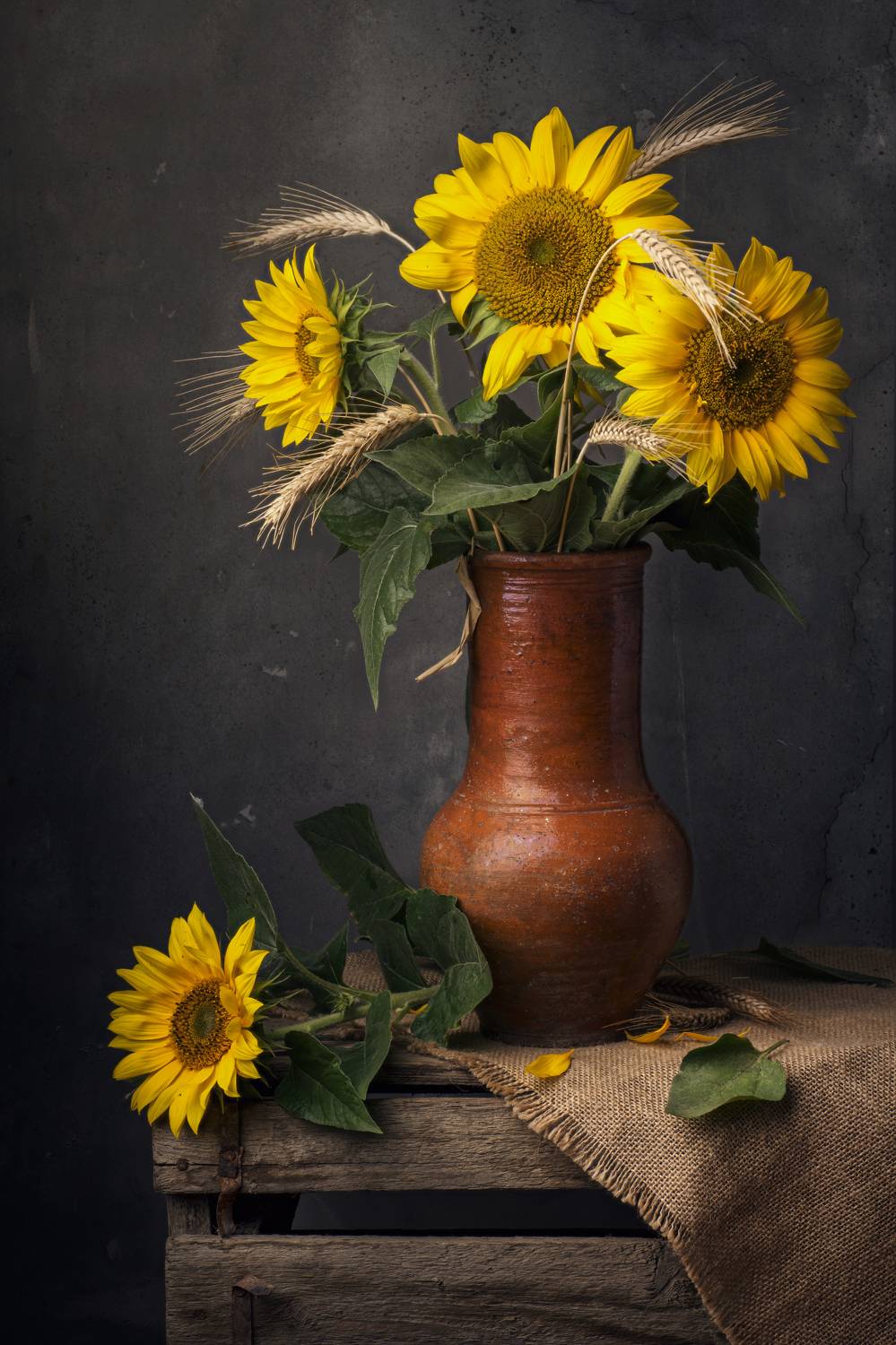 , Максим Вышарь