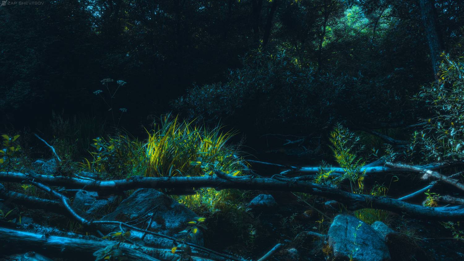 ZapWorld,zap,zap shevtsov,Сергей Шевцов,темное,ночь,туман,яркое,Необычное,лучшее фото,креативное,креатив,винтажное,пленочное, Sergey Shevtsov