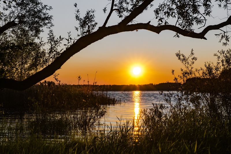 Пейзаж Восход фото превью