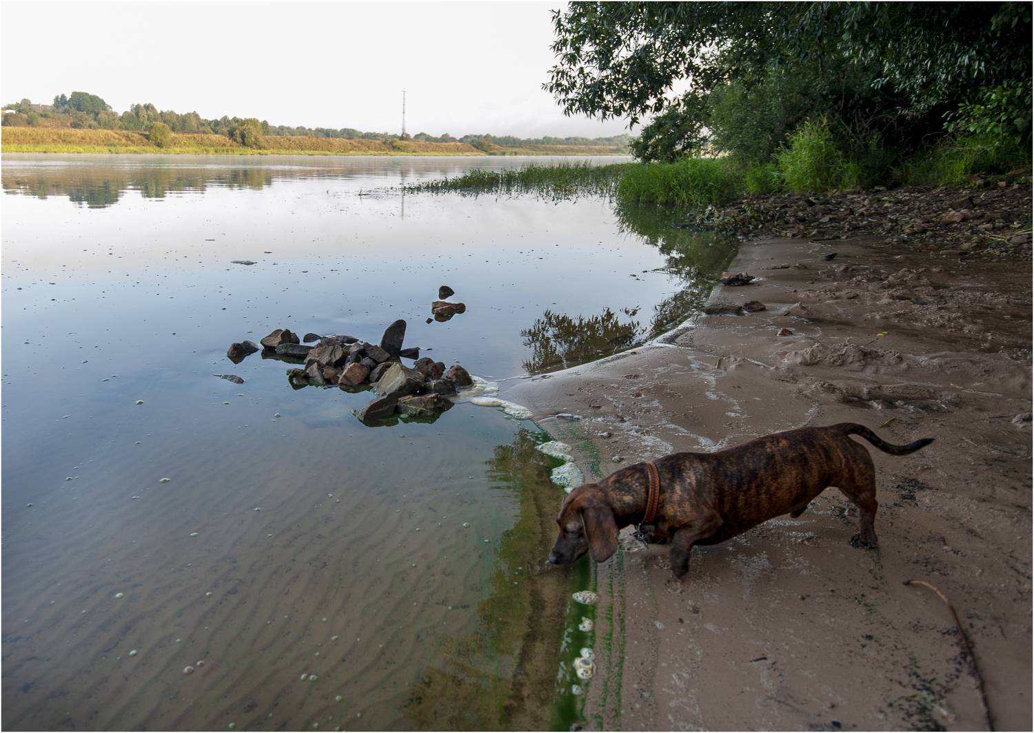 , Георгий Сапожников