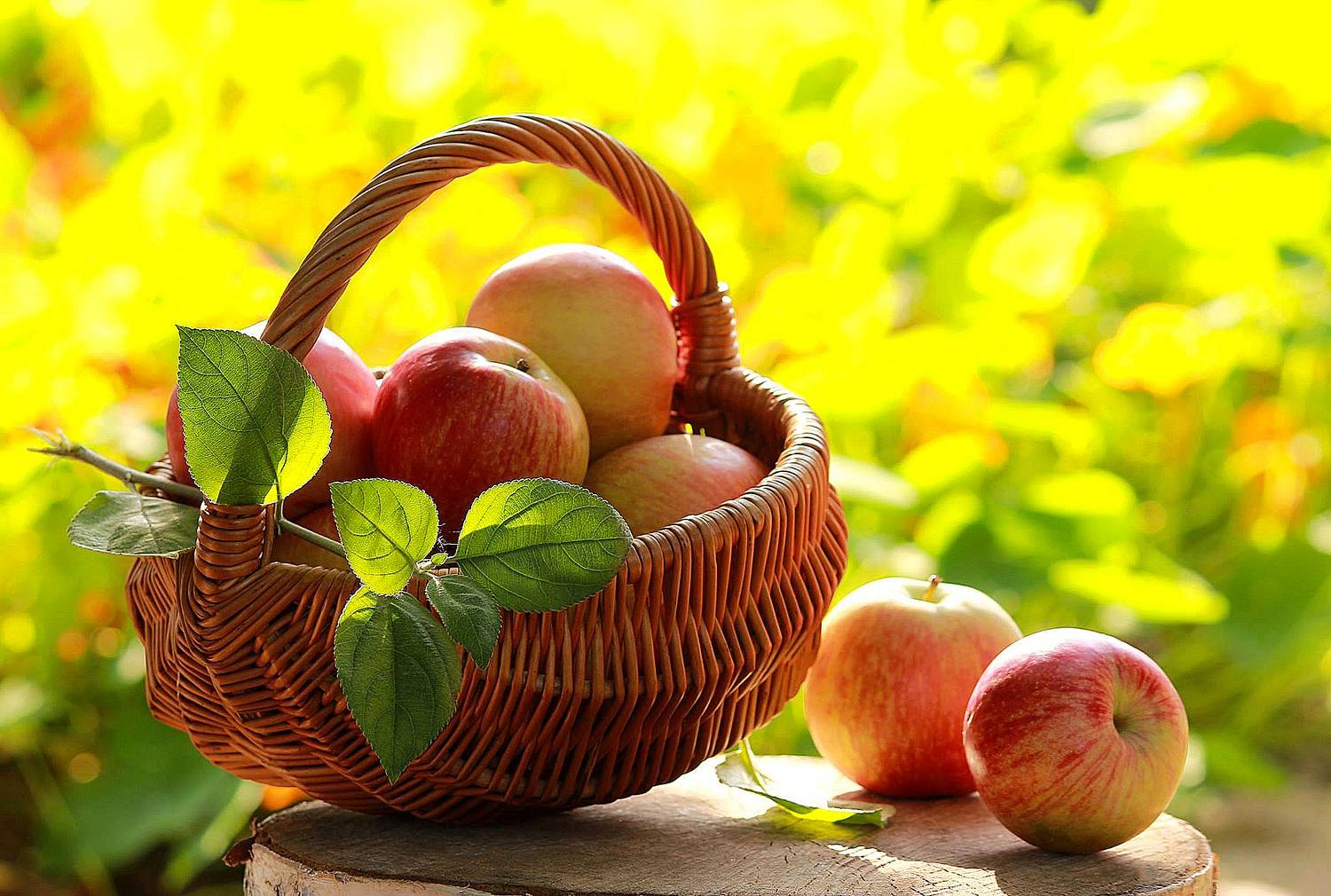 , Наталья Казанцева