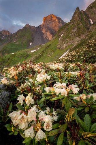 Загедан-скала