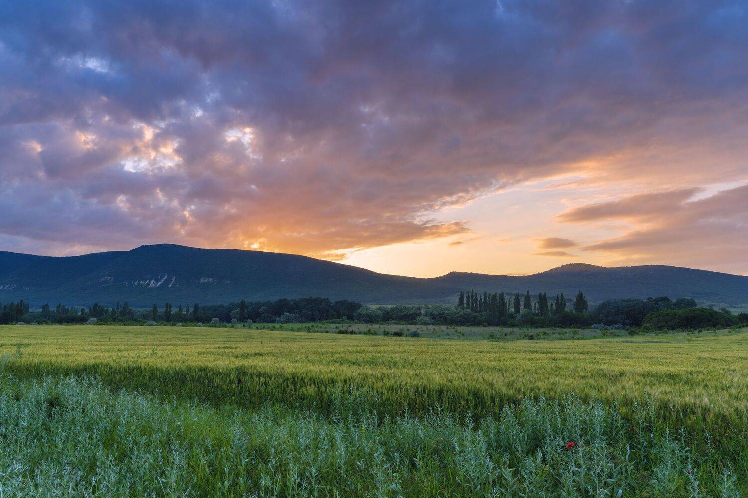 , Юлия Мальцева