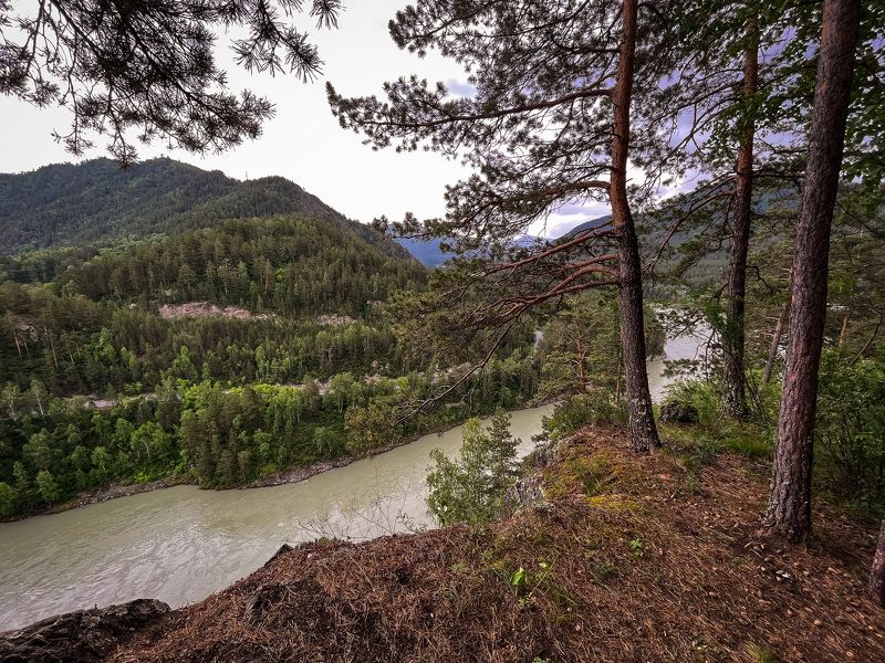 Катунь фото превью