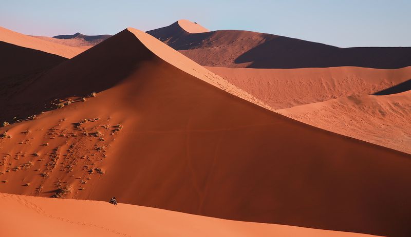 Absorption фото превью