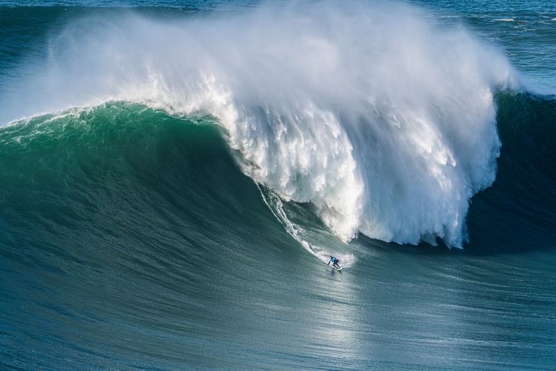 CHAMPION фото превью