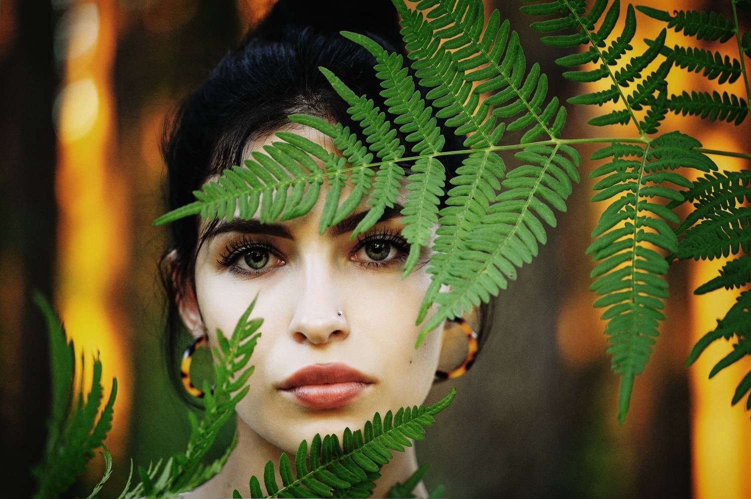 , Николай Никитин