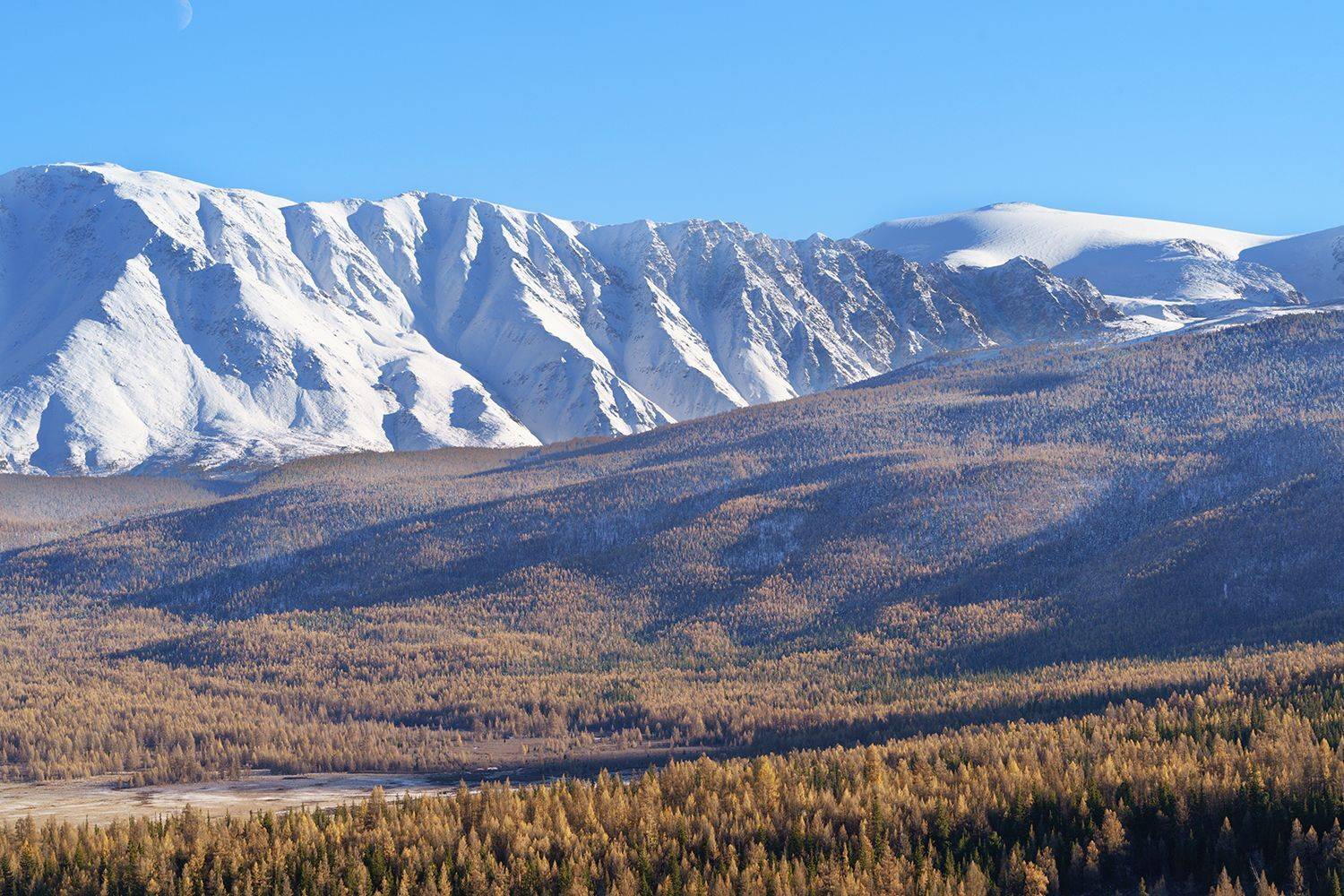 , Лариса Дука