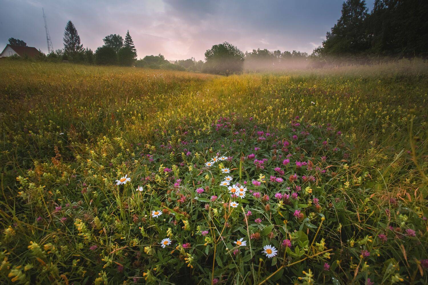 лето август дождь Смоленская обл. Торбеево, Зеленько Дмитрий