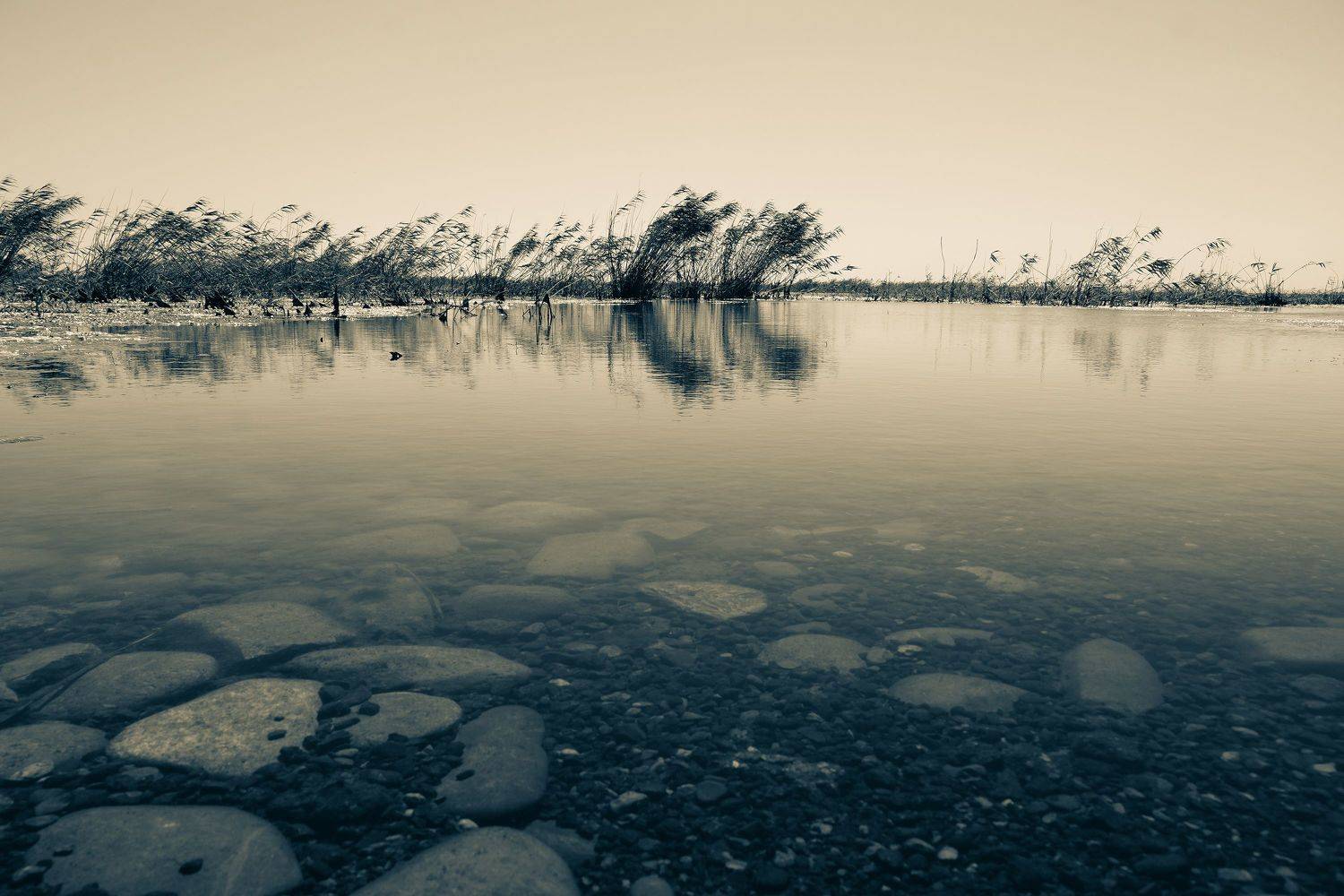 , Вадим Коваленко