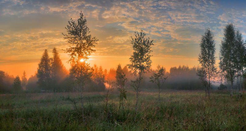 Рассвет на опушке леса. фото превью