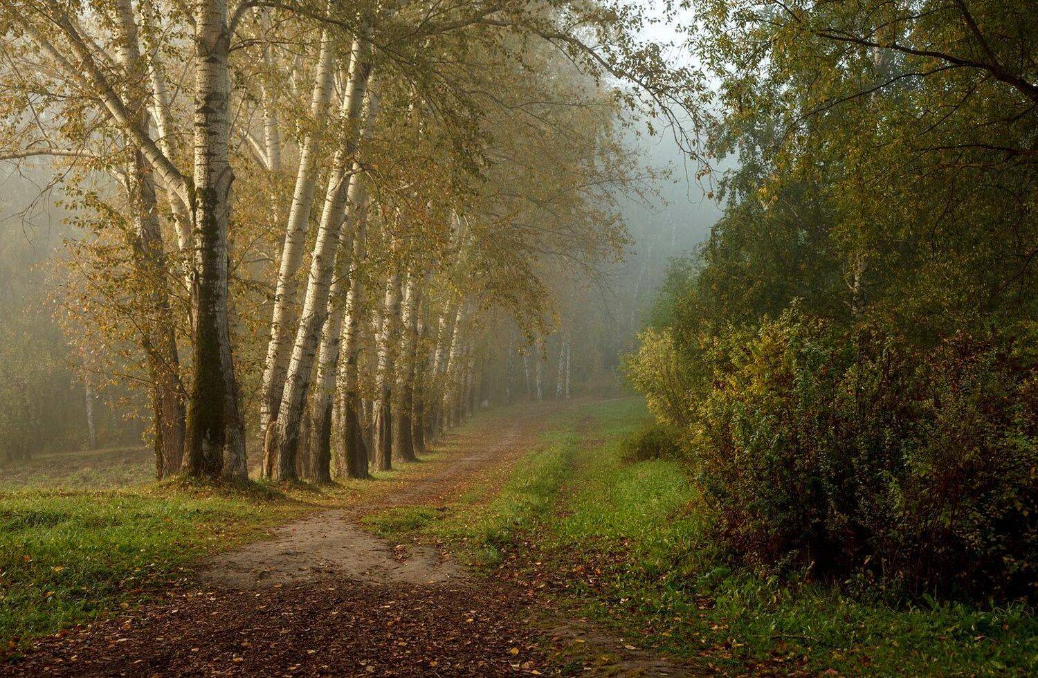 , Алексей Хахлов