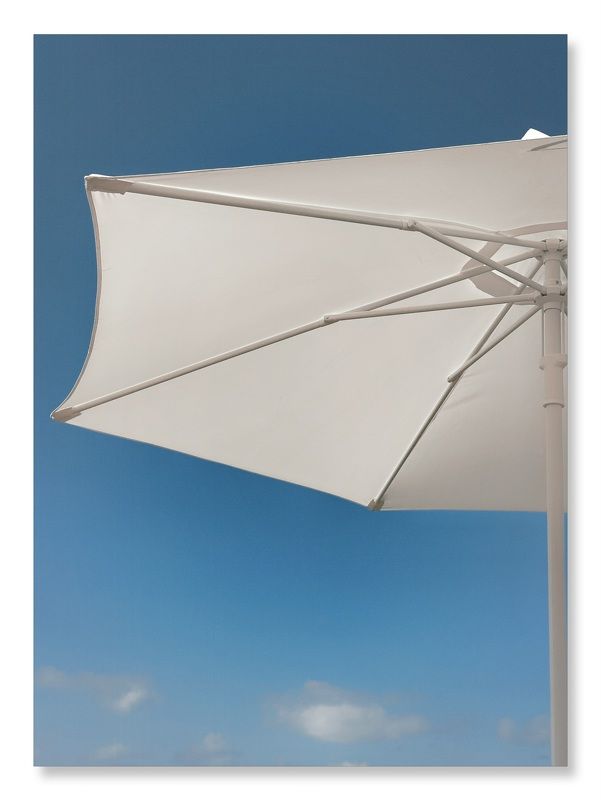 Август  фото превью