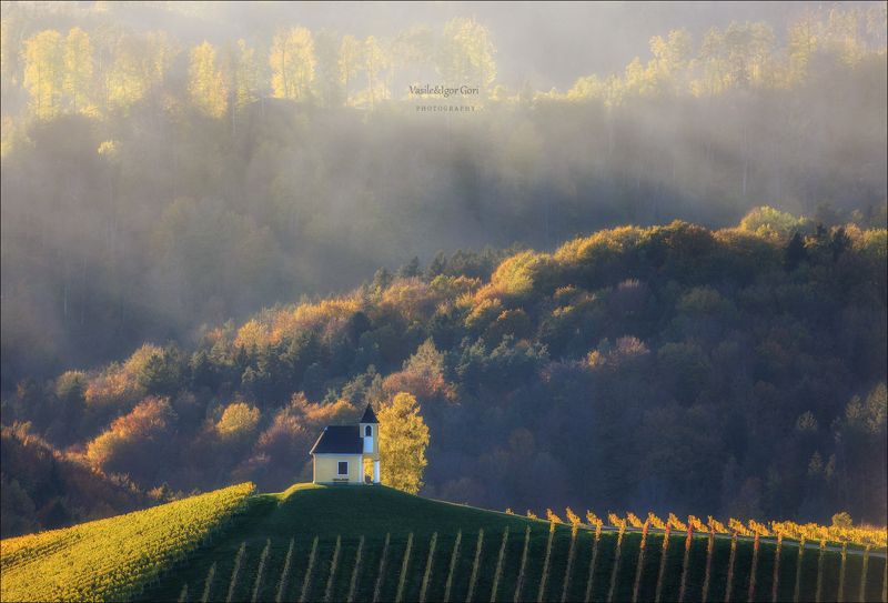 dreisiebner kapelle,свет,часовня,штирия,chapel,гамлитц,австрия,gamlitz- sernau,landscape,панорама,осень,дымка Осени дыхание фото превью