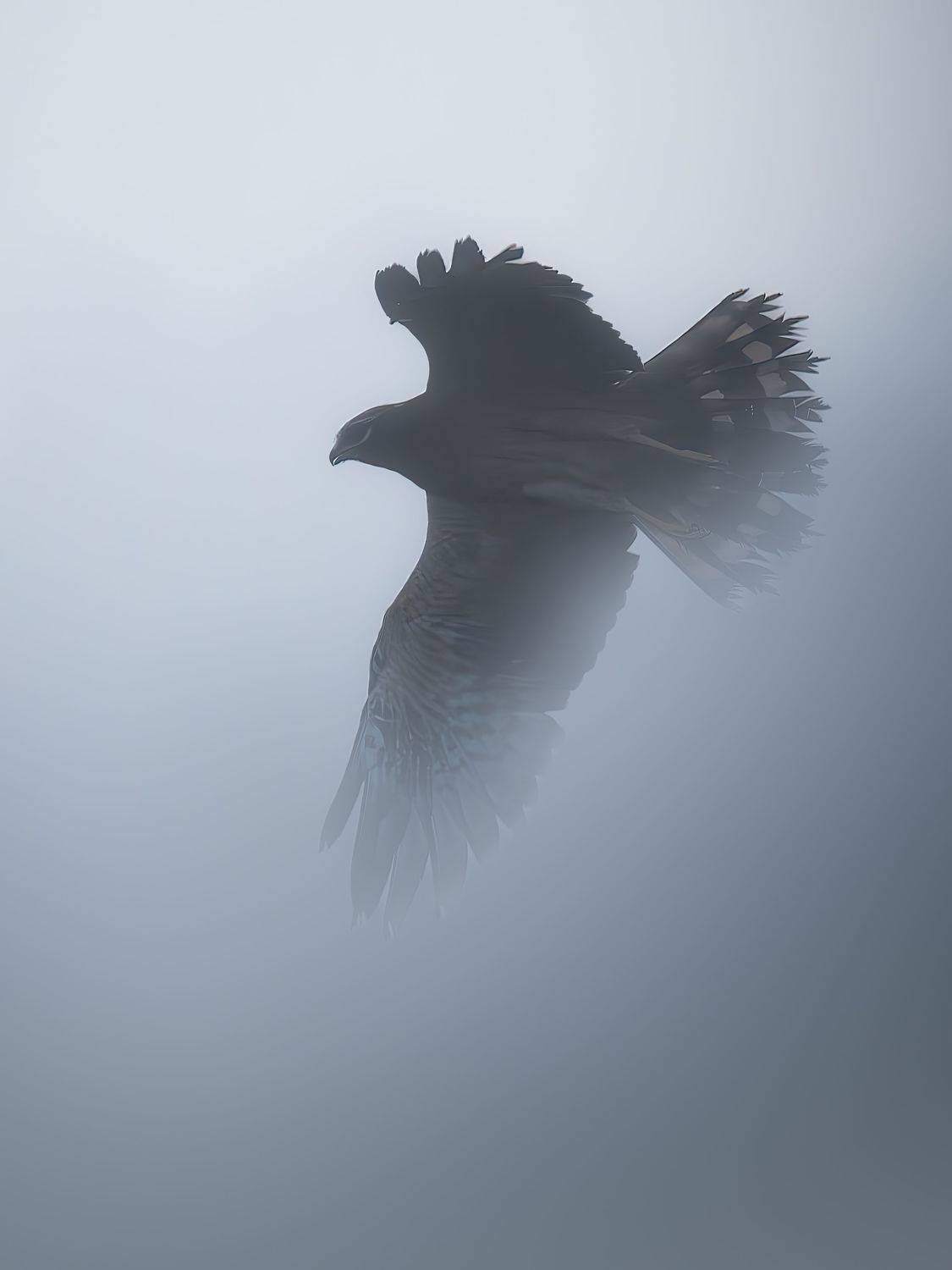 , Митин Дмитрий