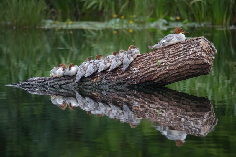 Санаторно-курортное настроение фото превью