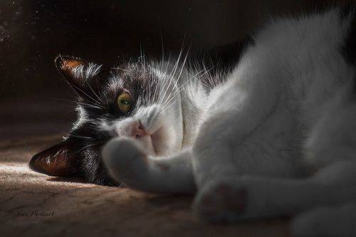 В лучах солнца