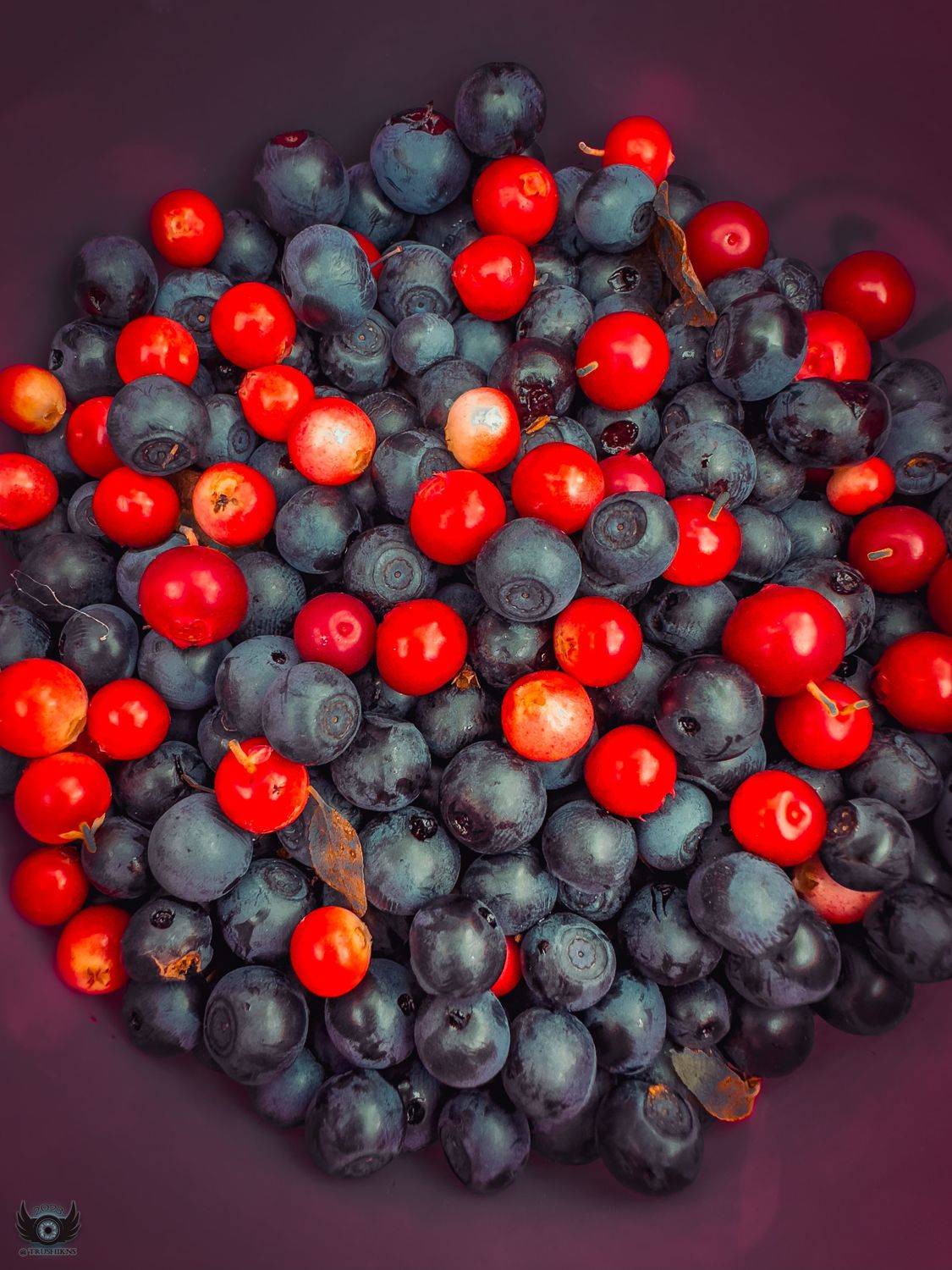 , Vladislav Trushkov