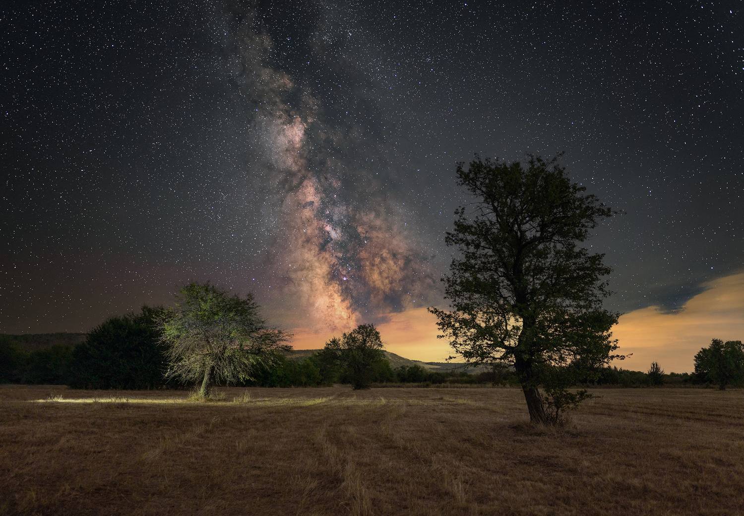 ceclii, Ganev Tsvetan