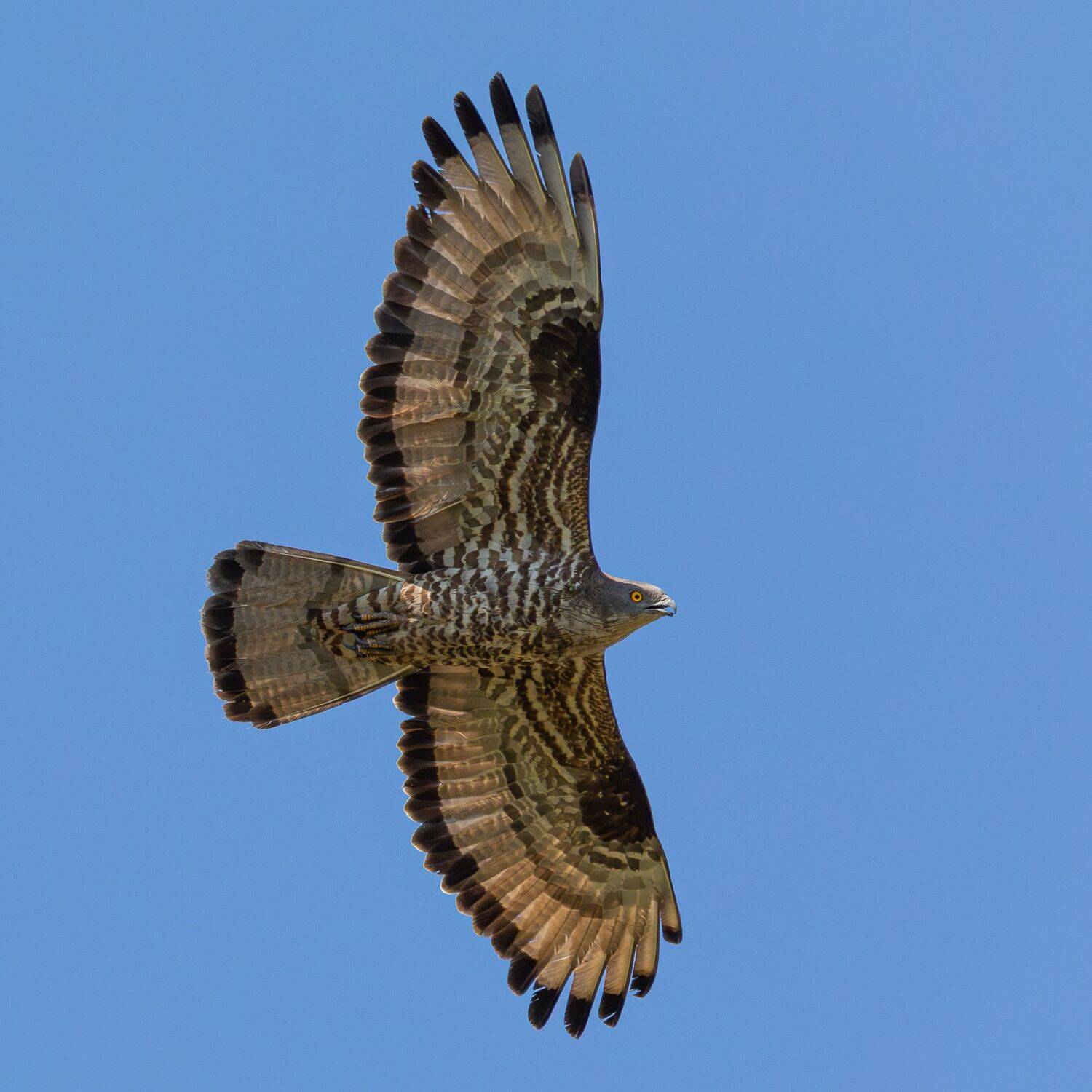 , Гильманов Артур