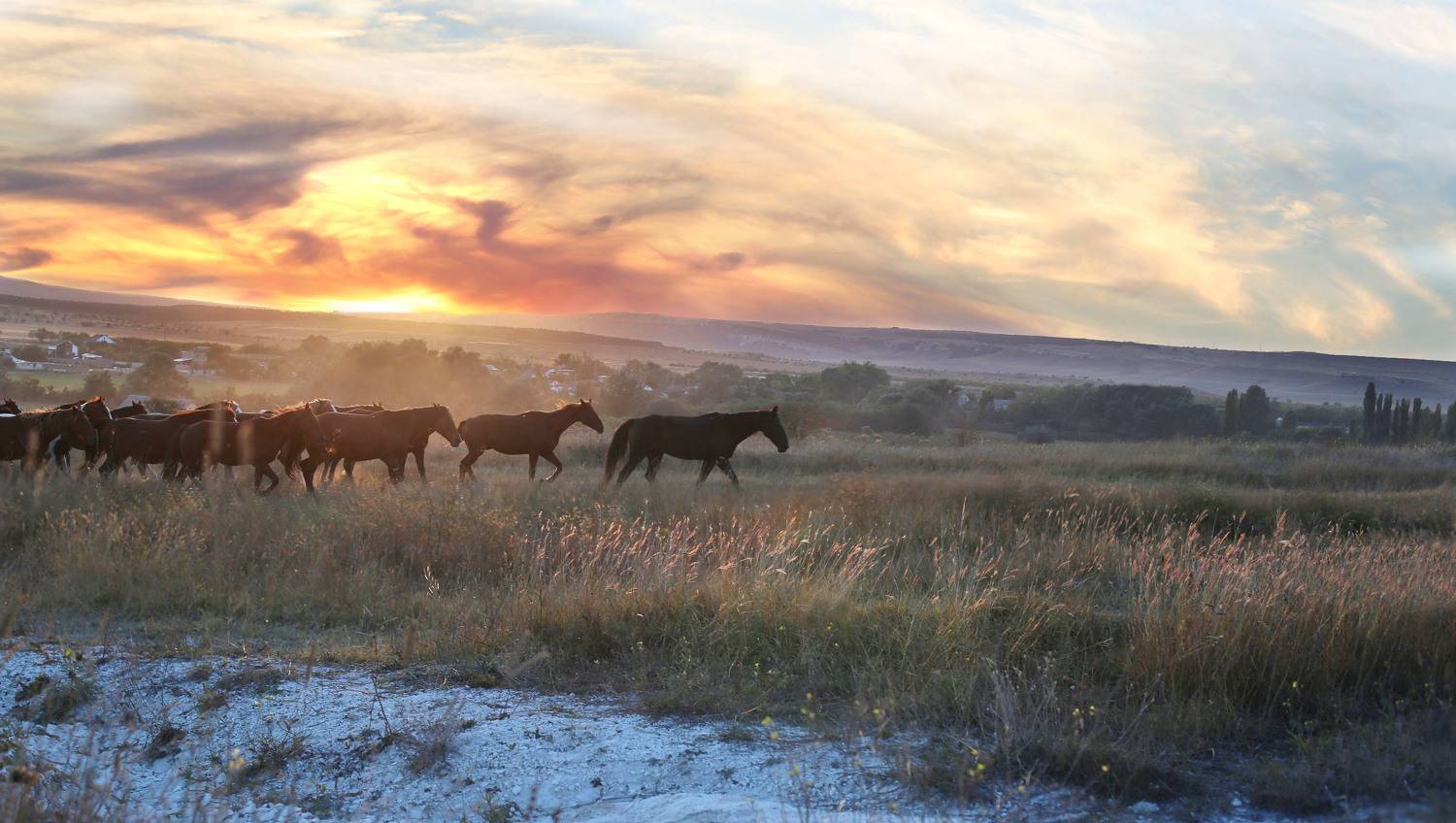, Ирина Гайворонская