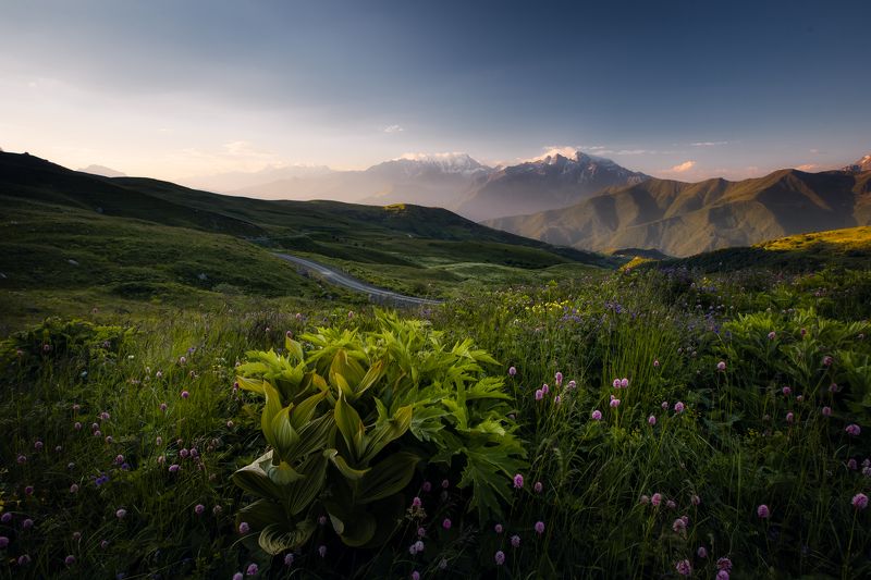 Рассветные луга гор фото превью