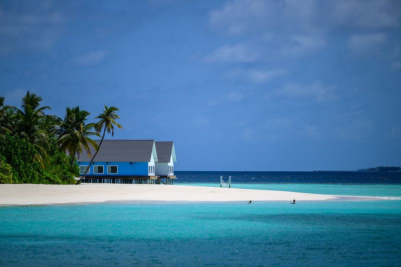 мальдивы На Мальдивах фото превью