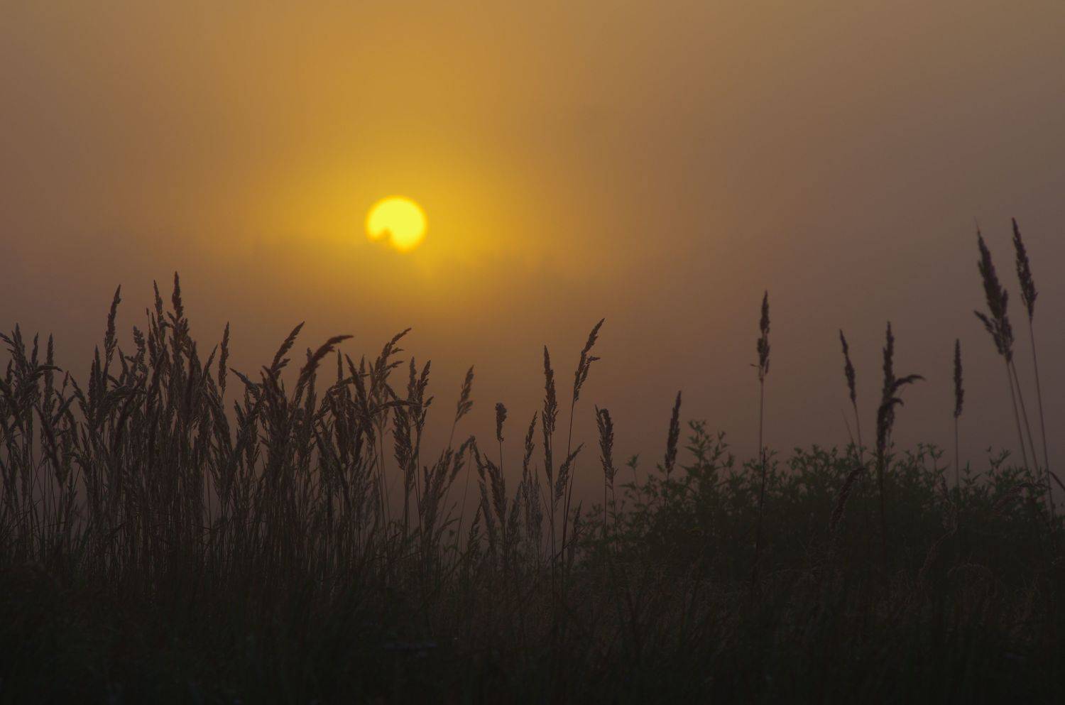 , Сергей Шляга