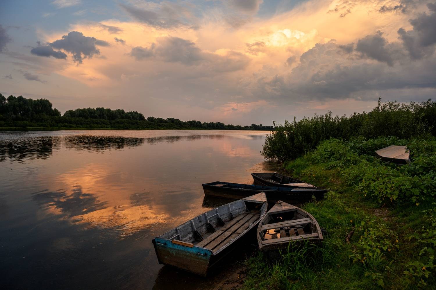 , Николай Никитин