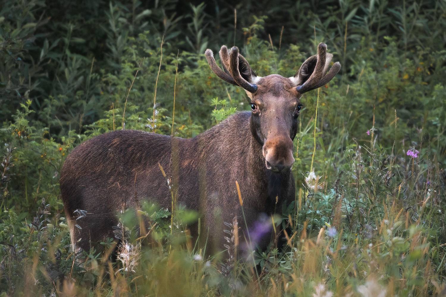 , Тябин Владислав
