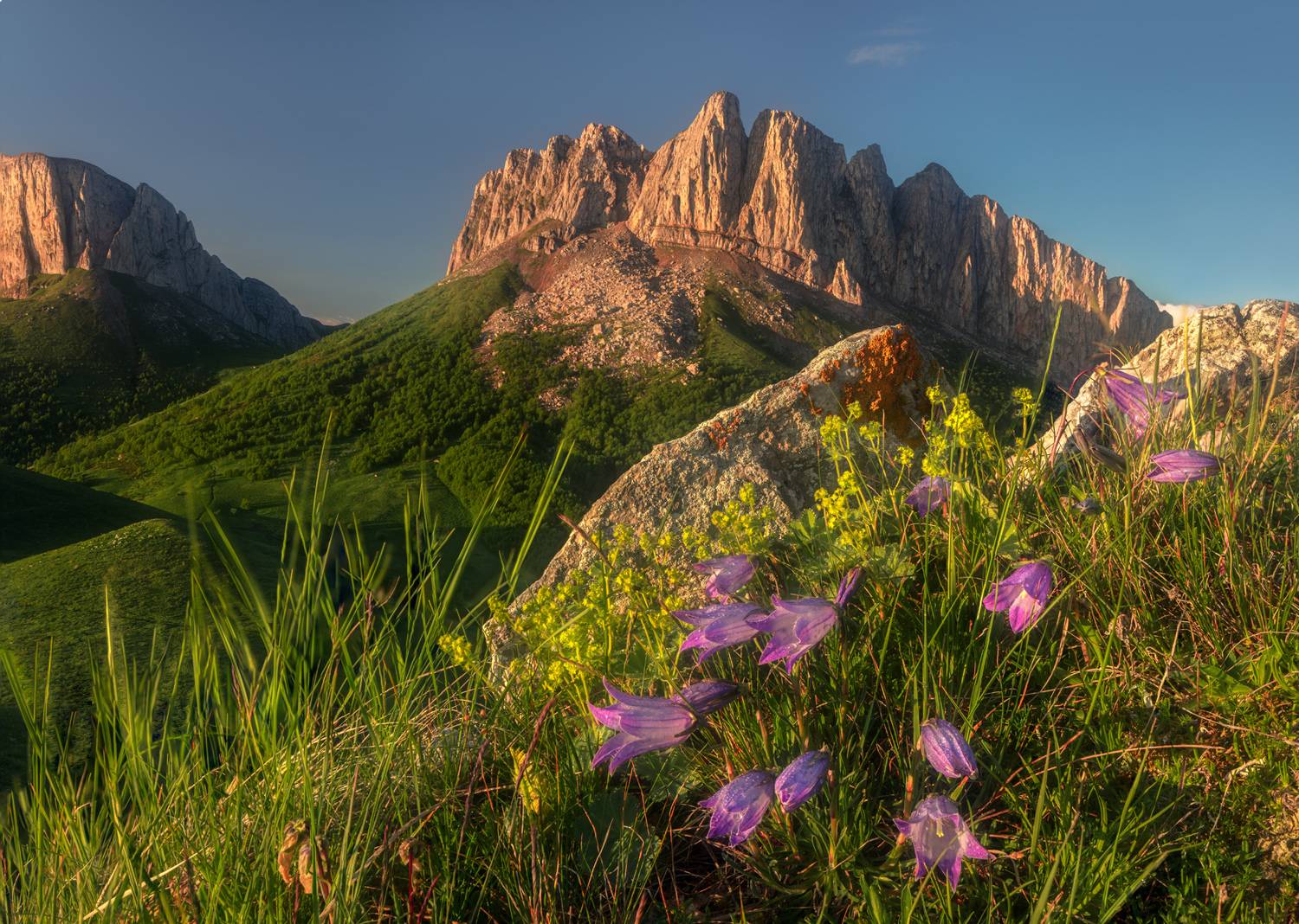 большой тхач, Валерий Щербина (sv-phototravel.com)