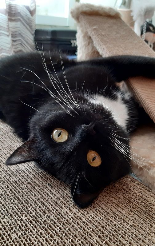 Утренний look фото превью