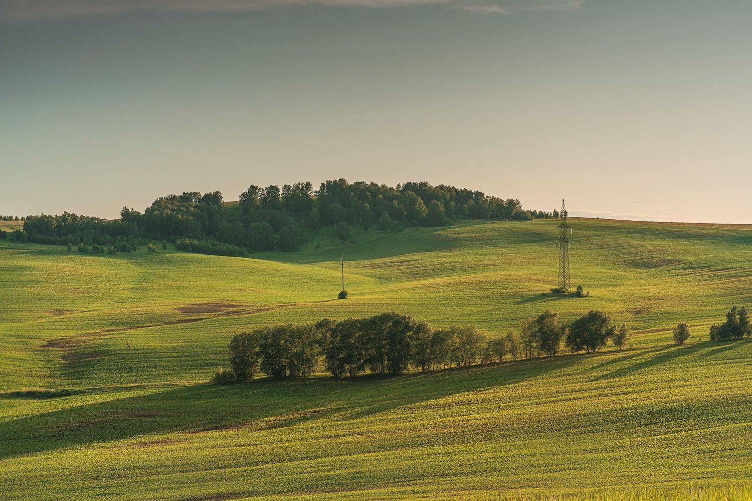 лето, пейзаж, красноярский край, поле, Julia Gorbacheva