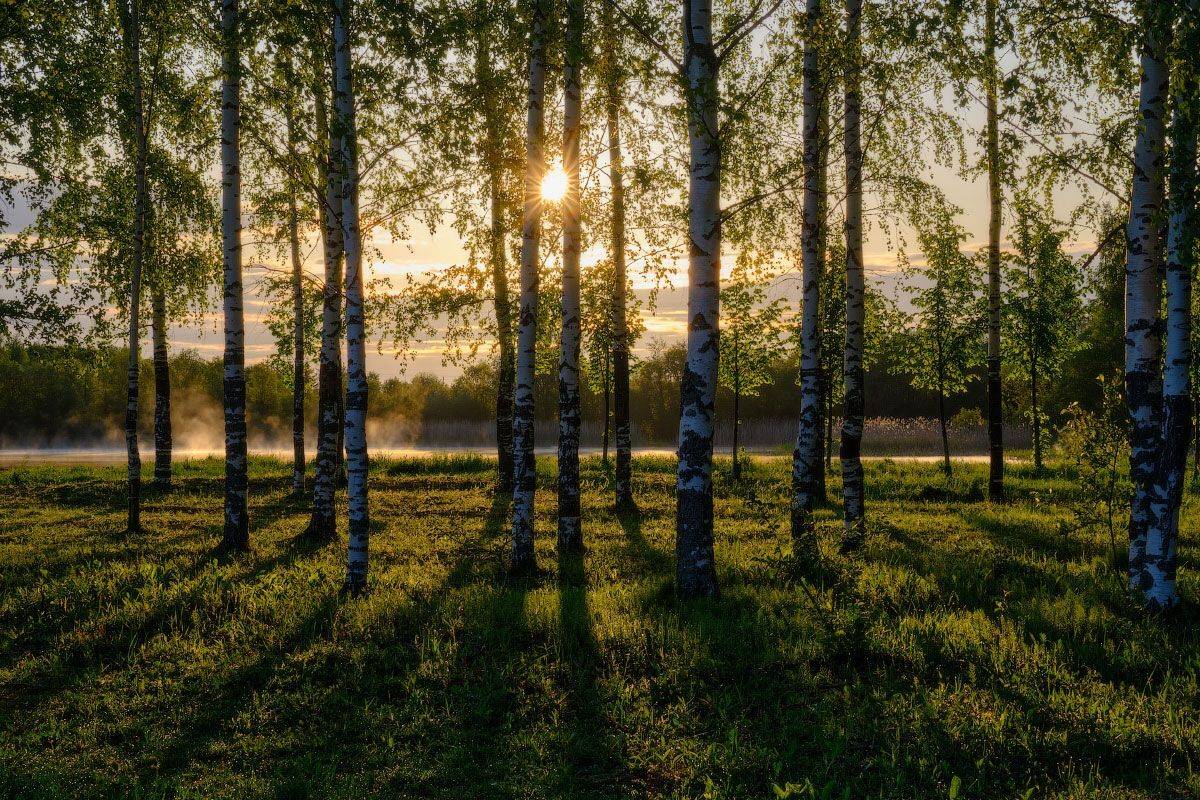 , Валентина