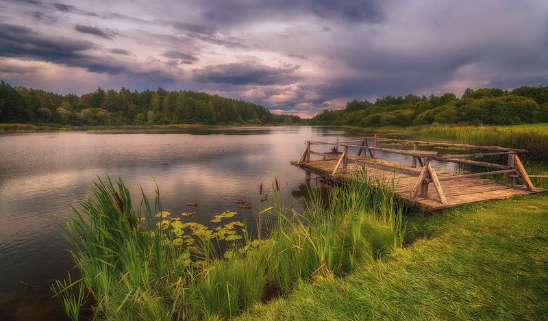 лето август михайловское пруд вечер Летний вечер в Михайловском фото превью