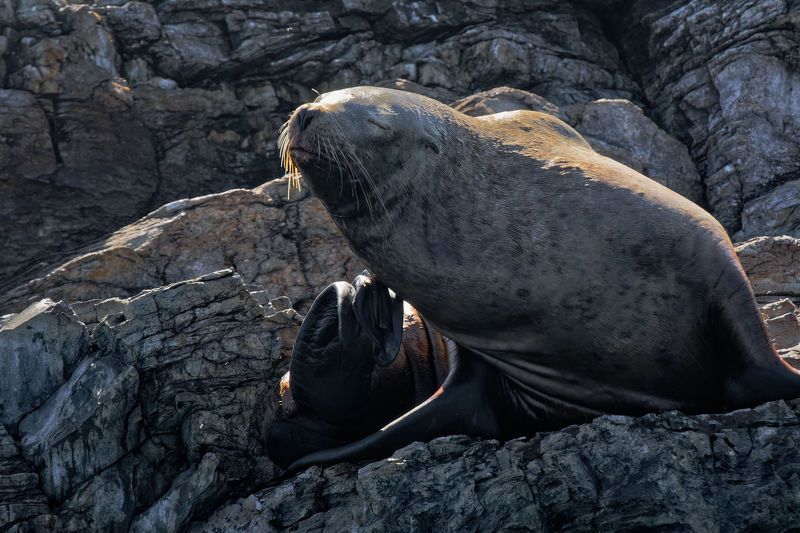 Семья фото превью