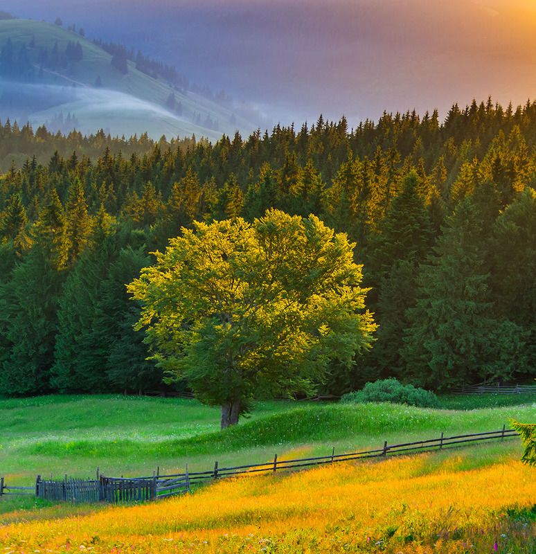 Bucovina, glimpses of nature фото превью