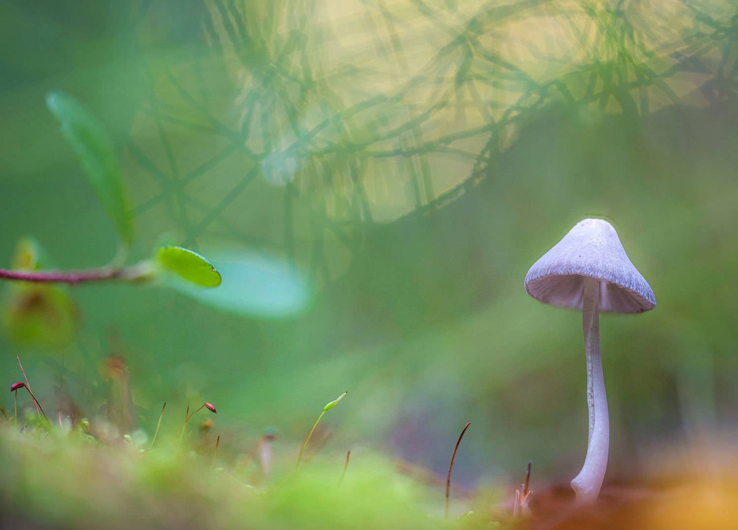 , Сергей Брагин