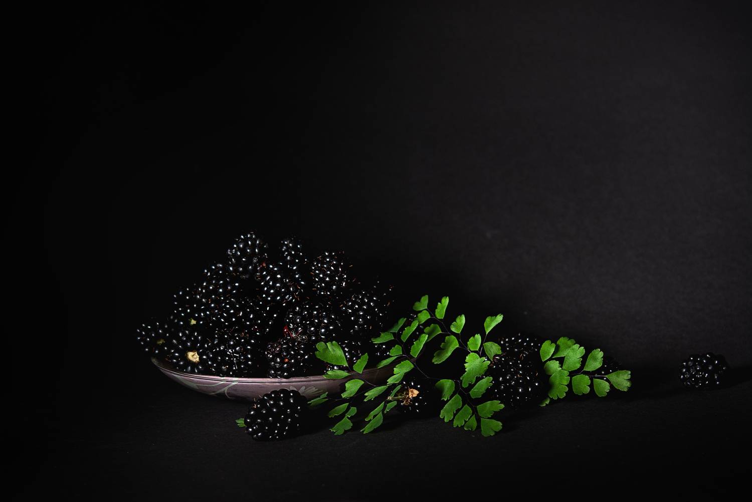 , Данильчук Алёна