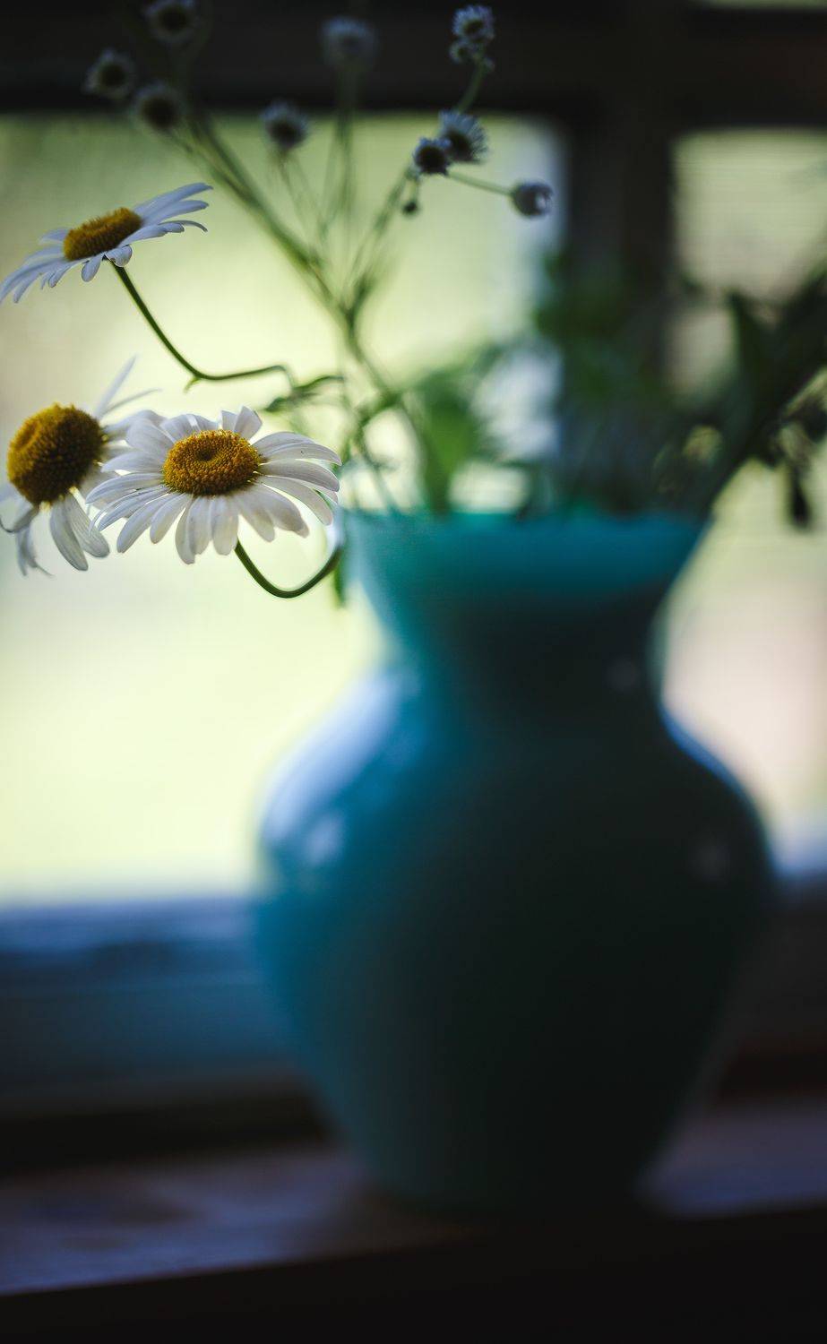 лето утро окно ромашки, Зеленько Дмитрий