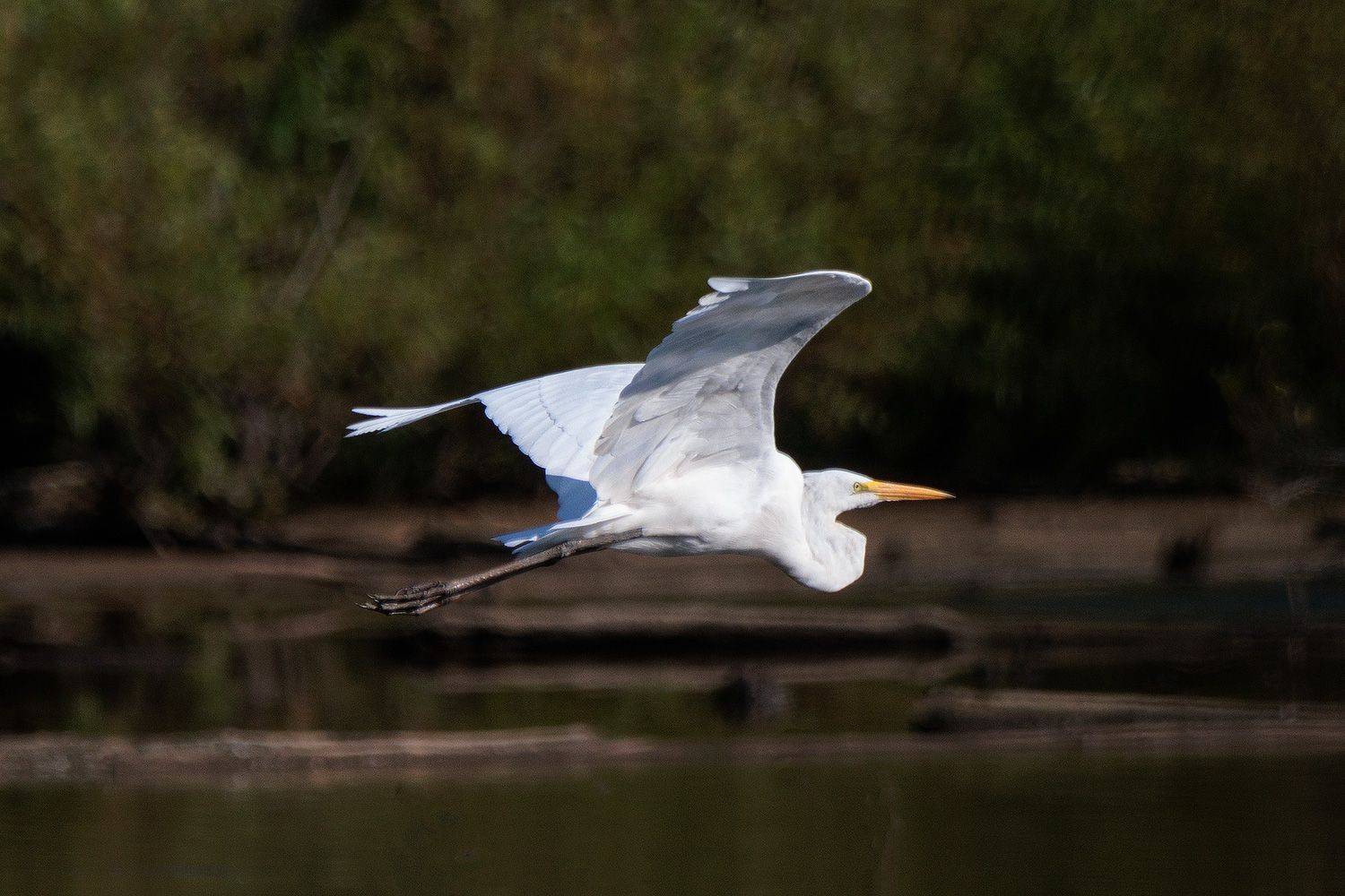 , Леонид Дьяченко
