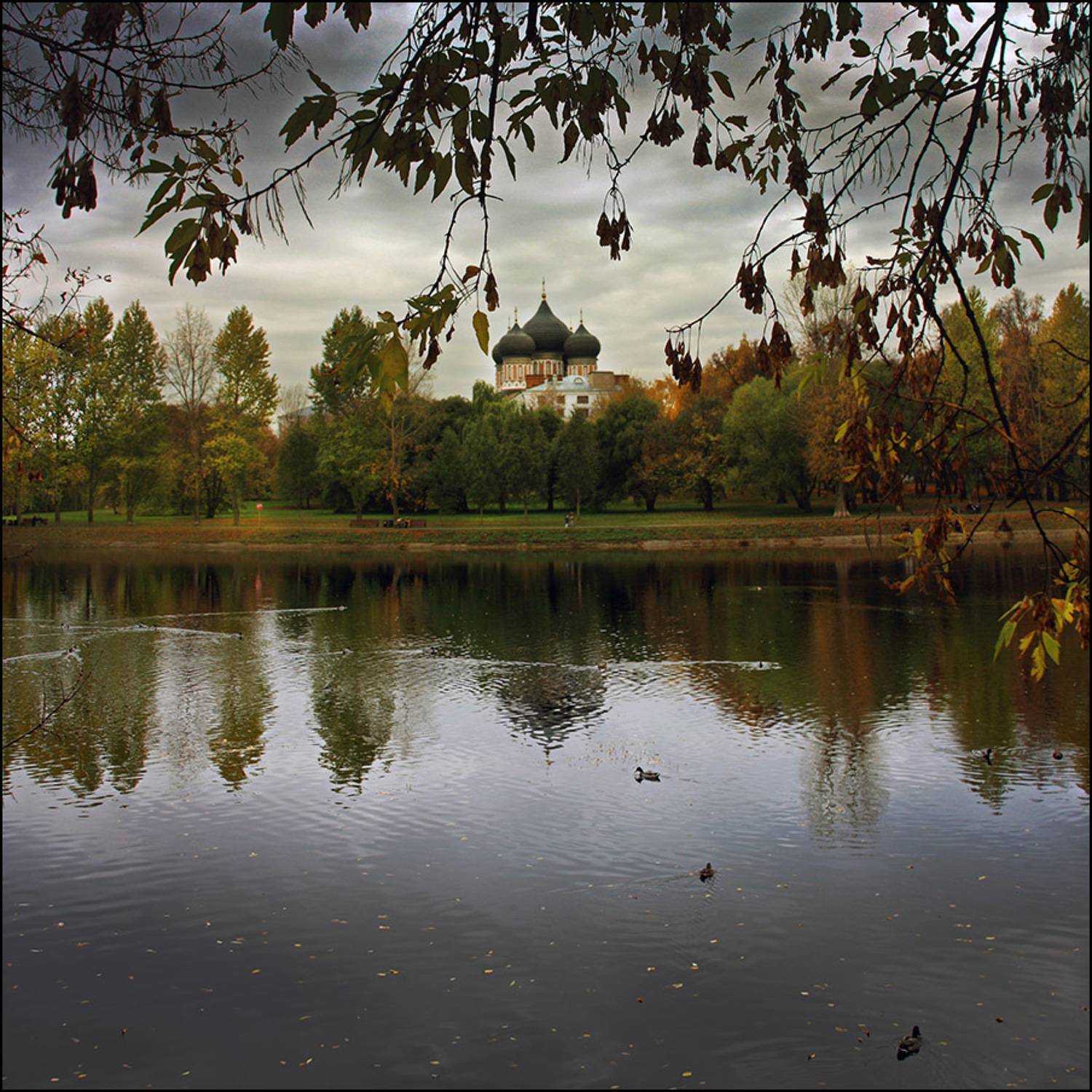 москва, измайлово, Тарасов Алексей
