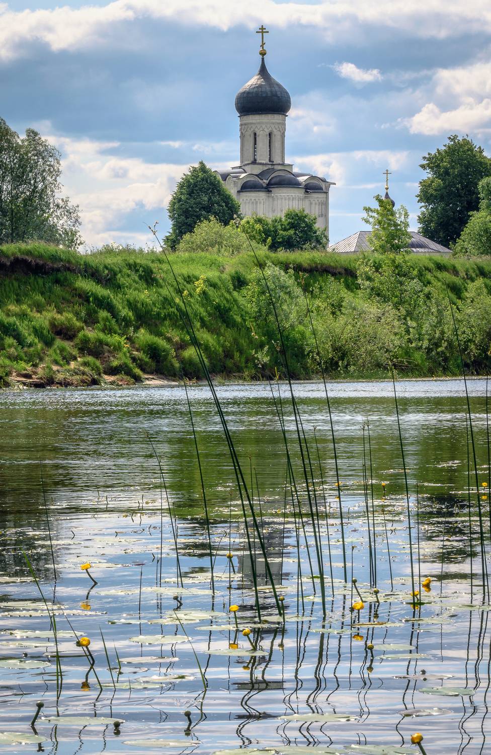 соборы, архитектура, Покрова на Нерли, Васильев Андрей
