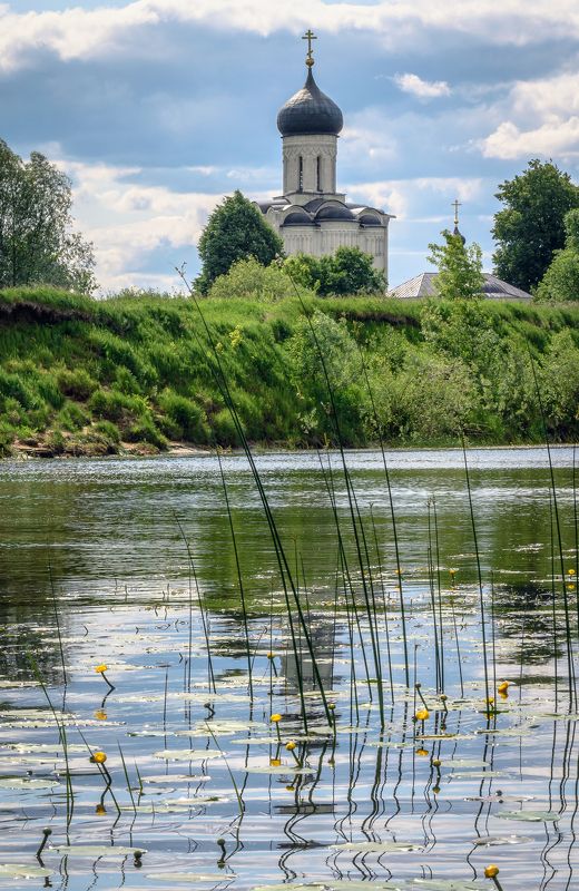 соборы, архитектура, Покрова на Нерли Покрова на Нерли фото превью