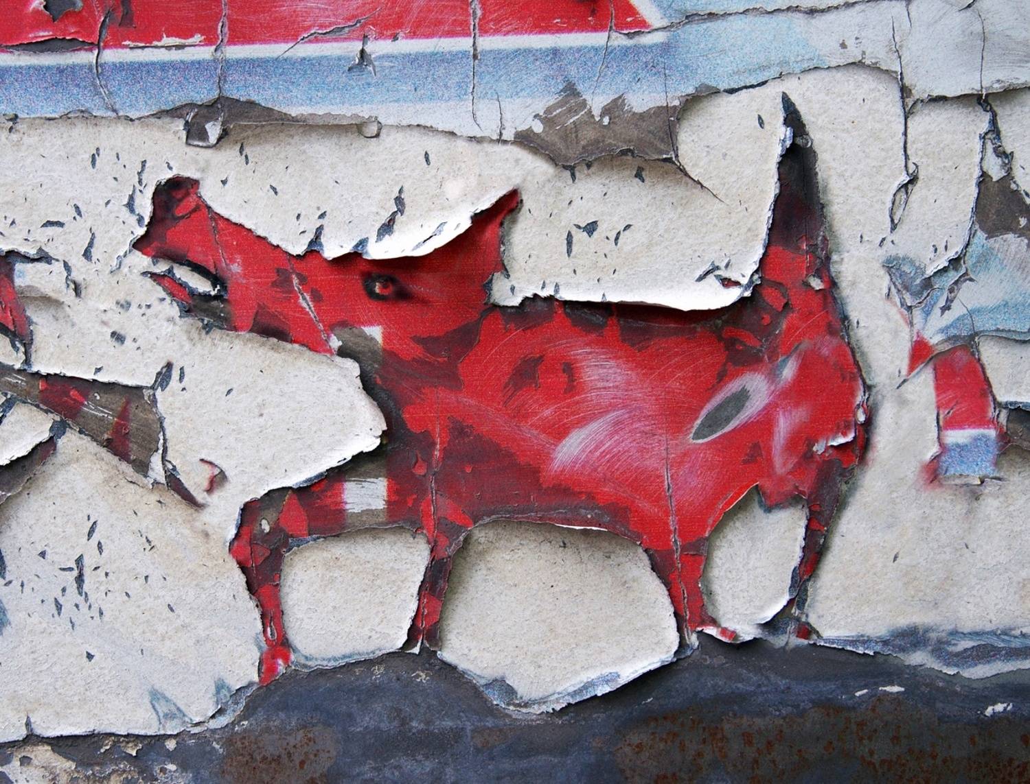 pareidolia, Илья Веулоп