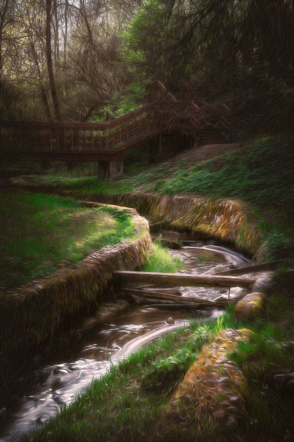 деревья, лес, ручей, Валерий Вождаев