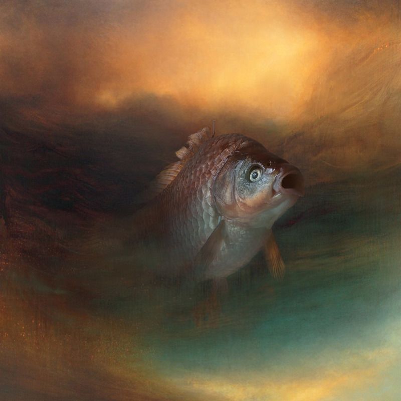 сюрреализм Рыба фото превью