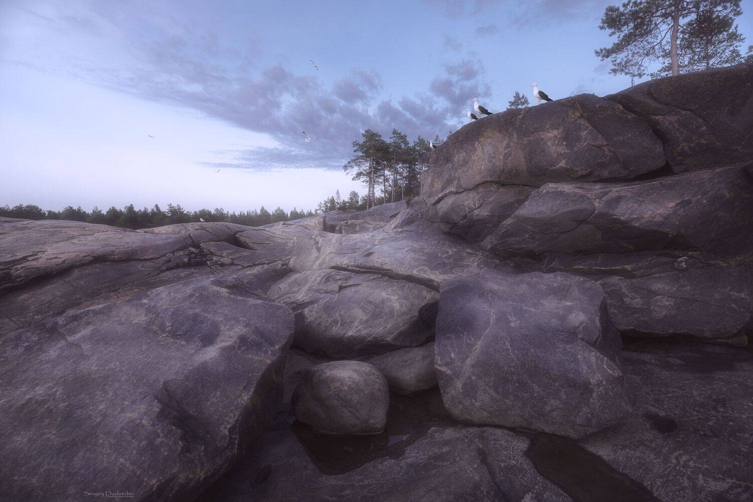 , Сергей Давлетшин